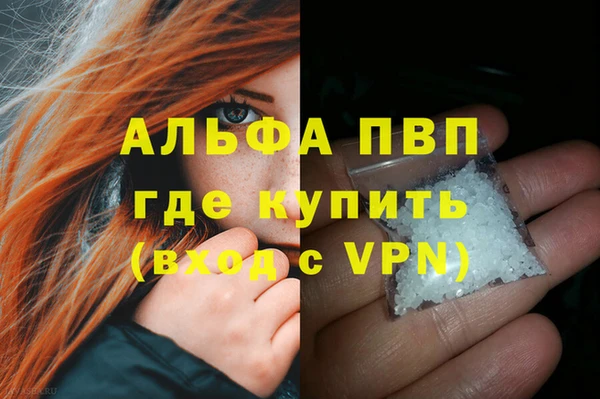 СК Алексин