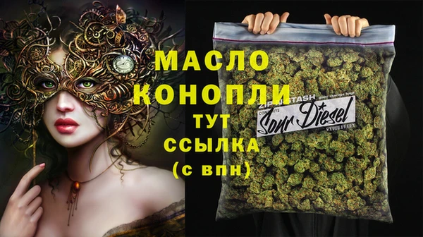 СК Алексин