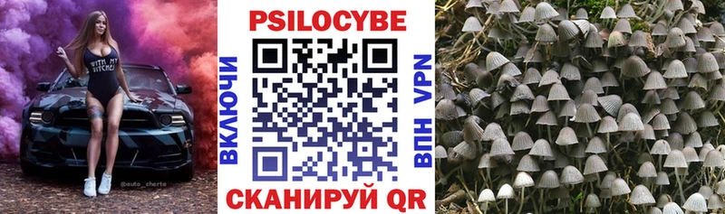 Галлюциногенные грибы мицелий Полтавская